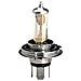 H7 Lampadina Alogena Di Ricambio Per Moto E Scooter 12v 55w - Foto miniatura 2