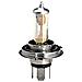 H7 Lampadina Alogena Di Ricambio Per Moto E Scooter 12v 55w - Foto miniatura 1