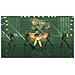Dance Evolution, Xbox 360, Xbox 360, Dance, E10+ (Tutti 10+)  - Foto miniatura 4