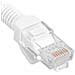 Cavo Di Rete Ethernet Utp Cat. 5e Bianco 3m - Foto miniatura 2