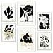 Set Di 6 Stampe Fiori In Bianco E Nero 2 Incorniciati Con Illustrazioni Di Design Per Decorare Le Pareti Della Tua Casa. Negozio Di Pittura. A3 & A4 Cornice Bianca - Foto miniatura 1
