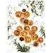Essiccatore B-Dry Potenza 245W Colore Arancione - Foto miniatura 6