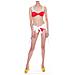 Calvin Klein - Reggiseno Mare Donna Incrociato Rosso - Foto miniatura 2