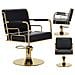 Poltrona Da Parrucchiere Zion Idarulica Girevole Per Il Salone Di Parrucchiere Sedia Da Parrucchiere - Foto miniatura 1