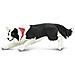 Safari Ltd Best In Show Border Collie - Foto miniatura 2