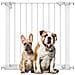 Bettacare Cancelletto Per Cani Safestep, Bianco, 82cm - 89cm, Passaggio Extra Basso, Apertura Extra Larga Di 67cm - Foto miniatura 1