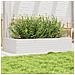 Fioriera Da Giardino Bianca 110x60x23 Cm Legno Massello Pino - Foto miniatura 1