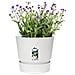 Greenville Pflanztopf Ø47 Cm Vaso Per Piante, Bianco - Foto miniatura 5