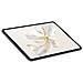 Tablet Pad 9 Grigio 12.1" IPS Qualcomm Snapdragon RAM 8 GBGB Memoria 256 GB +Slot MicroSD Wi-Fi Fotocamera 13Mpx Android 13 - - Foto miniatura 3