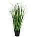 Erba Poa Artificiale Verde H 68 Cm - Foto miniatura 1