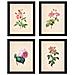 Set Di 4 Stampe Sfondo Stampe Con Colori Neutri Rapprsentazione Floreale Di Fiori Raffigurazioni Della Natura Botanico Piante Senza Cornice A4 - Foto miniatura 1