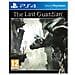 PS4 - The Last Guardian (Spagnolo)  - Foto miniatura 1