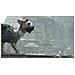 PS4 - The Last Guardian (Spagnolo)  - Foto miniatura 10