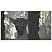 PS4 - The Last Guardian (Spagnolo)  - Foto miniatura 13
