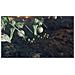 Xenoblade Chronicles 3 - Foto miniatura 11