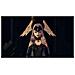 Xenoblade Chronicles 3 - Foto miniatura 10