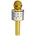 KMS-20GOMK2 microfono Oro Microfono per karaoke - Foto miniatura 1
