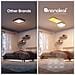 NF083E00-1SL soluzione di illuminazione intelligente Lampada a soffitto intelligente Wi-Fi - Foto miniatura 5