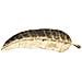 Svuotatasche Foglia Long In Ferro Dorato 38x3x11 Cm - Foto miniatura 2