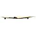 Svuotatasche Foglia Long In Ferro Dorato 38x3x11 Cm - Foto miniatura 6