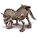 Scola Il Tuo Dinosauro Triceratops 4m - Foto miniatura 2