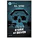 Robert L. Stine - Storie da brividi. Non leggetele prima di dormire... - Foto miniatura 2