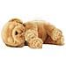 Animale Interattivo Little Live Pets Sleepy Puppy - Foto miniatura 2