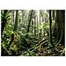 ProBook 4 G2a 16 inch Notebook Next Gen AI PC Wolf Pro Security Edition Copilot+ PC AMD Ryzen AI 7 445 Computer portatile 40,6 cm (16") WUXGA 32 GB DDR5-SDRAM 1 TB SSD Wi-Fi 7 (802.11be) Windows 11 Pro Argento - Foto miniatura 13