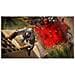 Videogioco Per Xbox One / Series X Assasin's Creed: Mirage - Foto miniatura 4
