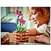 Vaso di fiori di Vaiana - Foto miniatura 14