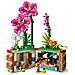 Vaso di fiori di Vaiana - Foto miniatura 19