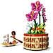 Vaso di fiori di Vaiana - Foto miniatura 22