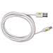 Cavo Usb A Maschio 2.0 / Usb-c Maschio 2m Bianco - Foto miniatura 2