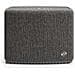 Altoparlante Portatile A15 con Bluetooth Wi-Fi Potenza 40 W Colore Grigio - Foto miniatura 1