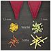 Affettatrice di verdure V5 Powerline set professionale affettatrice di cetriolo verde affettatrice friggitrice affettatrice di verdure affettatrice di frutta vegan | rosso - Foto miniatura 4