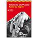 Ruggero Cappuccio - Fuoco su Napoli - Foto miniatura 1