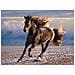 CLM39420 Puzzle 1000 Pezzi - Free Horse - Foto miniatura 2