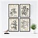 Set Di 4 Stampe Di Con I Brevetti Di Macchine Da Stampaggio Tipografia Stampa Vintage Manifesti Con Invenzioni E Vecchi Brevetti Senza Cornice A4 - Foto miniatura 1