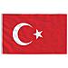 Asta e Bandiera Turchia 5,55 m Alluminio - Foto miniatura 4