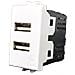 Presa Doppia Usb 2.4a Per Vimar Arke Bianca 4b. v19b. usb. 24 - Foto miniatura 1
