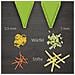 Affettatrice di verdure V5 Powerline set professionale affettatrice di cetriolo verde affettatrice friggitrice affettatrice di verdure affettatrice di frutta vegan | verde - Foto miniatura 3