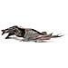 Fascinations Metal Earth Drogon Puzzle In Metallo 3d - Foto miniatura 1