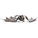 Fascinations Metal Earth Drogon Puzzle In Metallo 3d - Foto miniatura 4