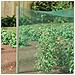 Reticolo di Protezione per Uccelli Verde 2 x 25 m HDPE - Foto miniatura 3