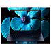 EliteBook X Flip G1i Notebook Next Gen AI Wolf Pro Security Edition Copilot+ PC Intel Core Ultra 7 258V Ibrido (2 in 1) 35,6 cm (14") Touch screen WUXGA 32 GB LPDDR5x-SDRAM 2 TB SSD Wi-Fi 7 (802.11be) Windows 11 Pro Blu - Foto miniatura 8