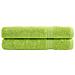 Asciugamani Premium SOLUND 2 pz Verdi 100x200 cm 600 g /m² - Foto miniatura 1