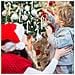 Set Di 6 Ornamenti Natalizi A Forma Di Bastoncino Di Zucchero - Decorazioni Festive Silver - Foto miniatura 6