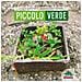 Chiara Carminati - Piccolo verde. Ediz. illustrata - Foto miniatura 1