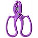 Spogliafiori 2-in-1 E Cesoie Da Potatura - Strumento Per Composizioni Floreali Purple - Foto miniatura 1