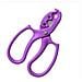 Spogliafiori 2-in-1 E Cesoie Da Potatura - Strumento Per Composizioni Floreali Purple - Foto miniatura 2